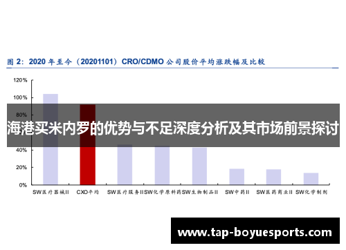 海港买米内罗的优势与不足深度分析及其市场前景探讨